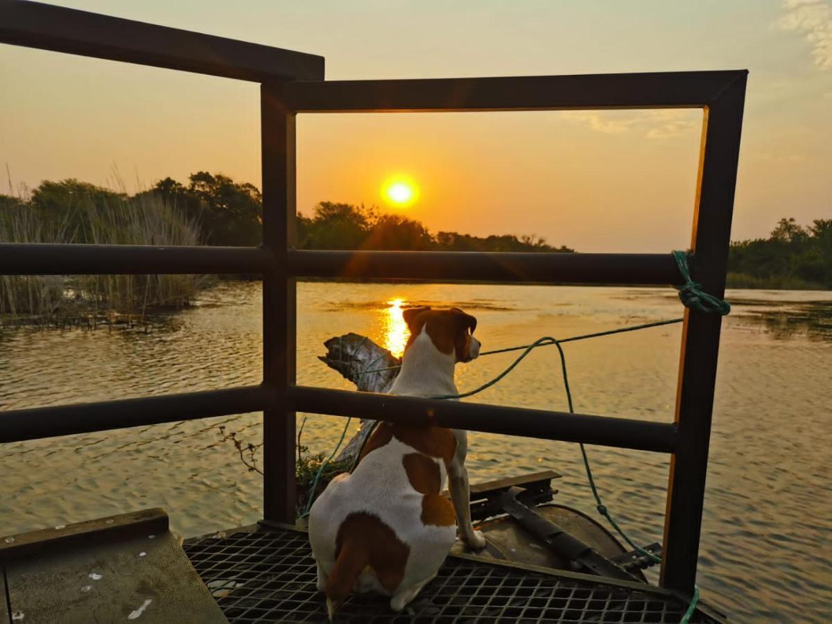 Hippo Retreat & Tiger Fishing Komatipoort Dış mekan fotoğraf