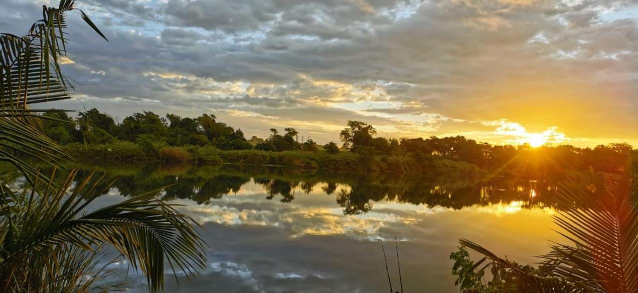 Hippo Retreat & Tiger Fishing Komatipoort Dış mekan fotoğraf