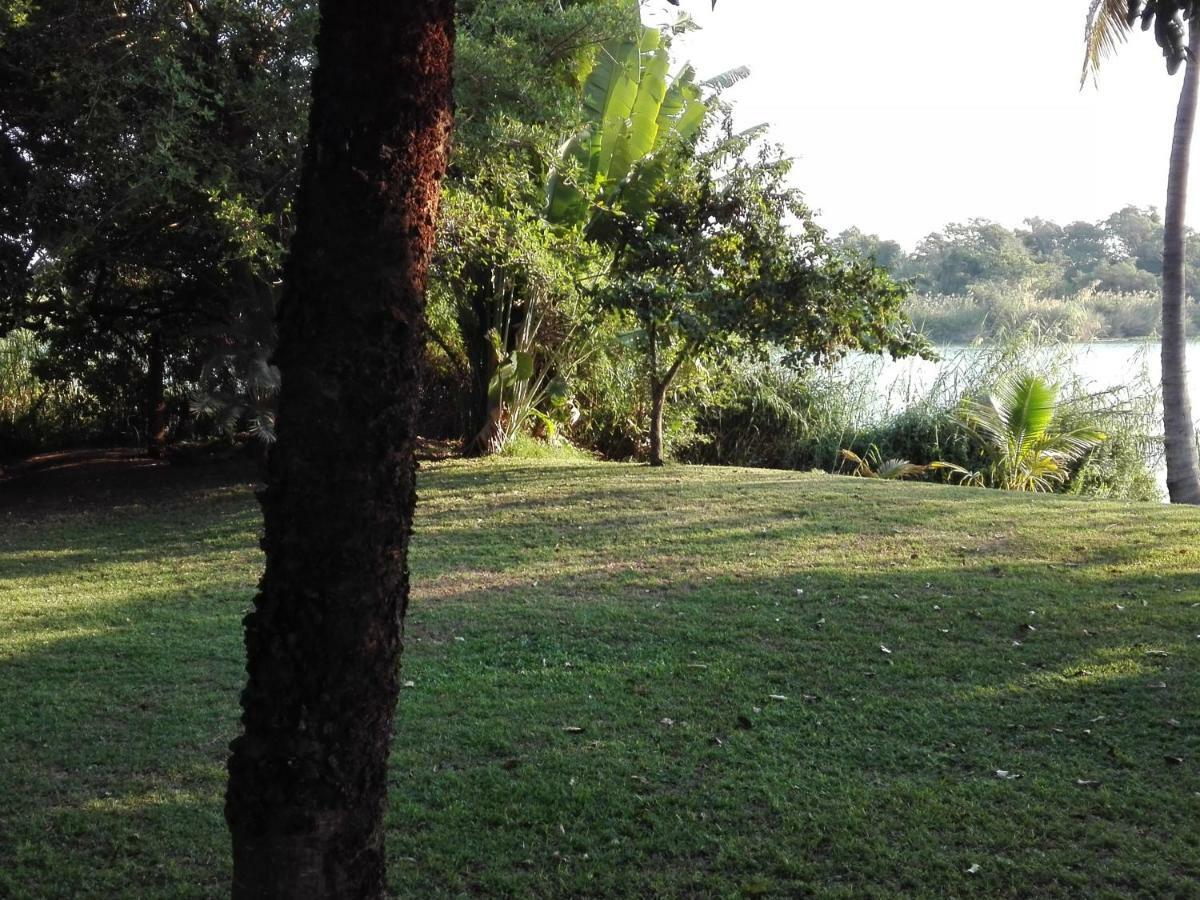 Hippo Retreat & Tiger Fishing Komatipoort Dış mekan fotoğraf